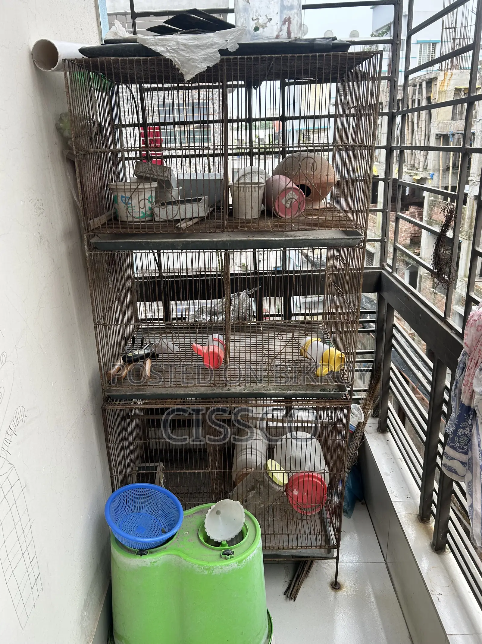 Bird Cage 3 Story
