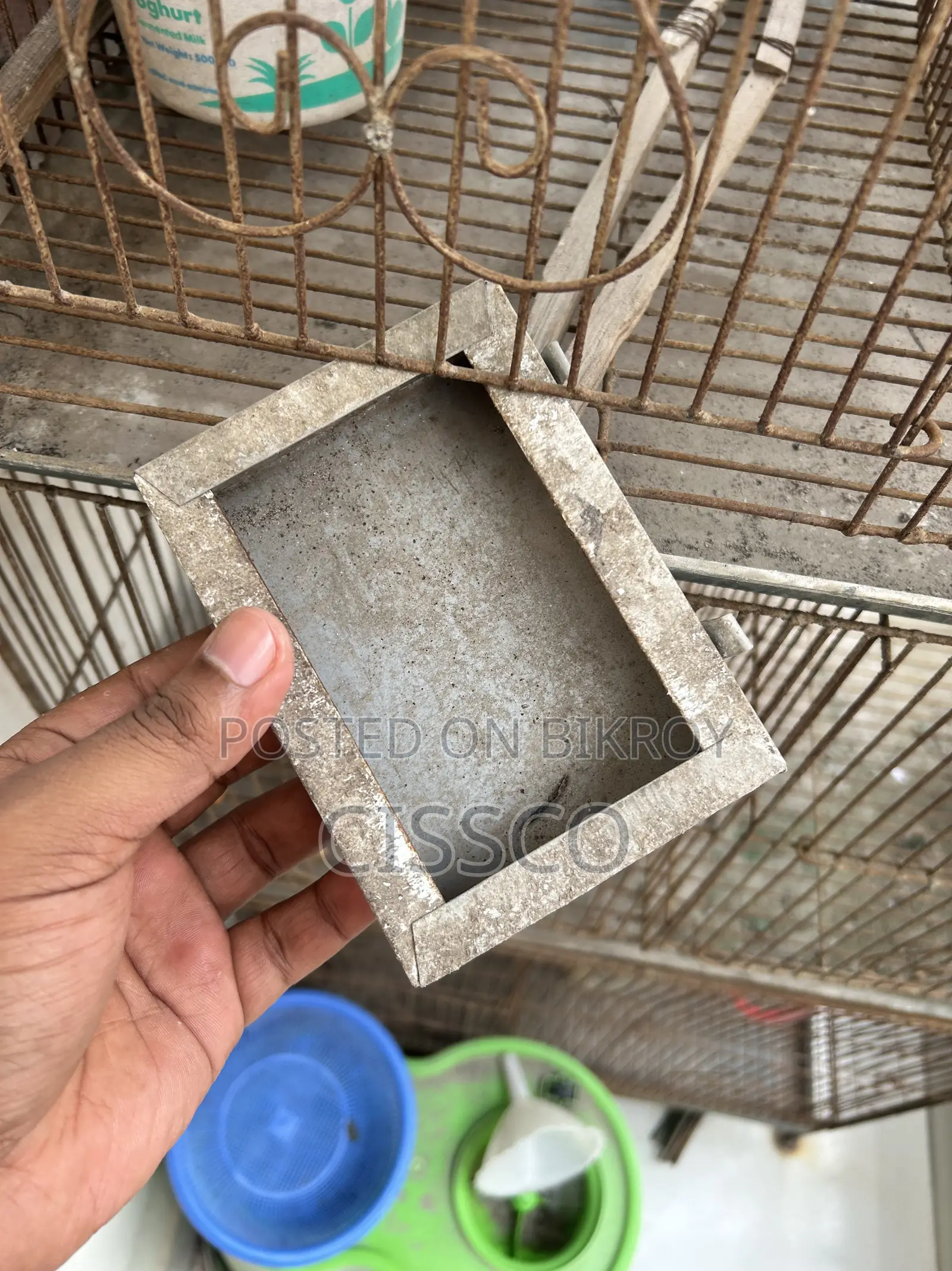 Bird Cage 3 Story