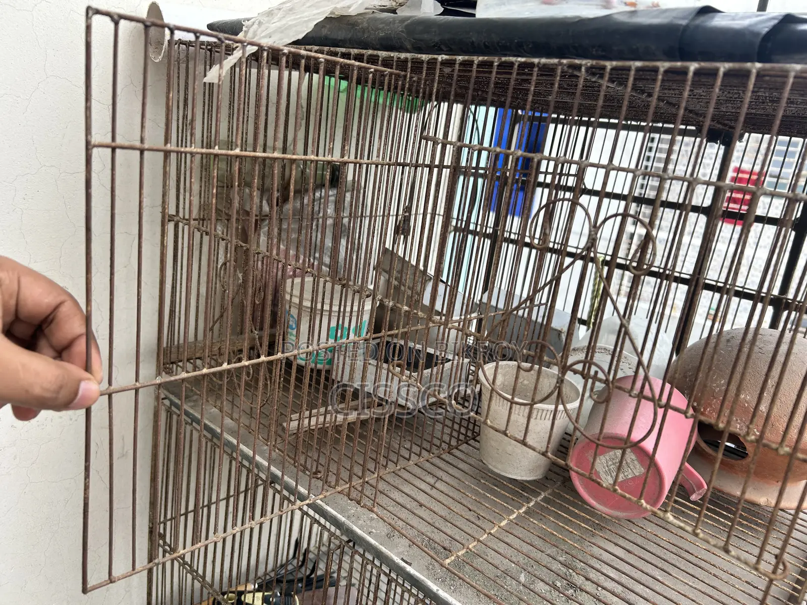 Bird Cage 3 Story