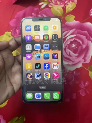 Apple iPhone 12 Pro Max 256 GB Gray