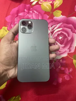 অ্যাপল আইফোন ১২ প্রো ম্যাক্স ২৫৬ জিবি ধূসর