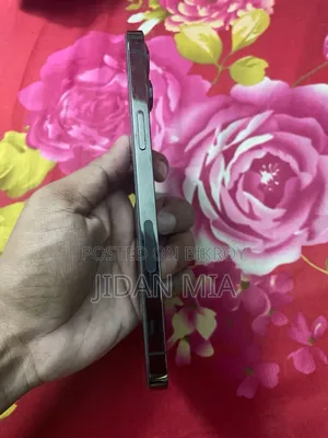 অ্যাপল আইফোন ১২ প্রো ম্যাক্স ২৫৬ জিবি ধূসর