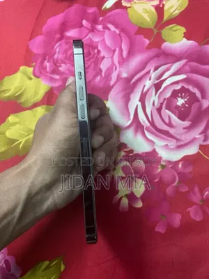 অ্যাপল আইফোন ১২ প্রো ম্যাক্স ২৫৬ জিবি ধূসর