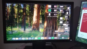 Dell Monitor