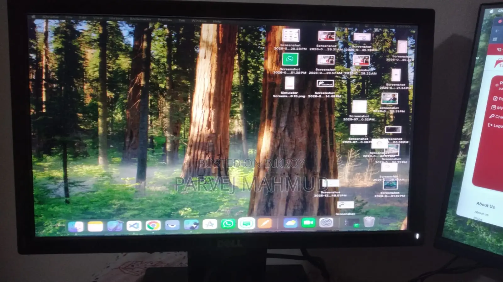 Dell Monitor