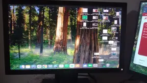 Dell Monitor
