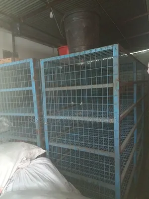 Chicken transport cage