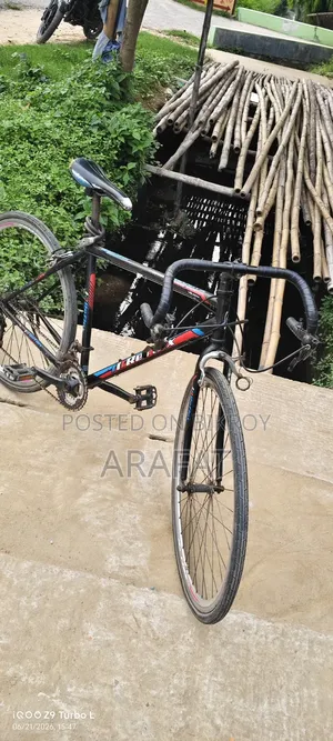 Best Road Bike on a Budget