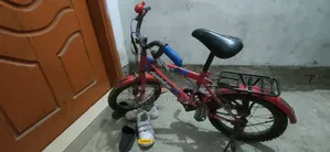 Bicycle Sales