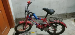 Bicycle Sales