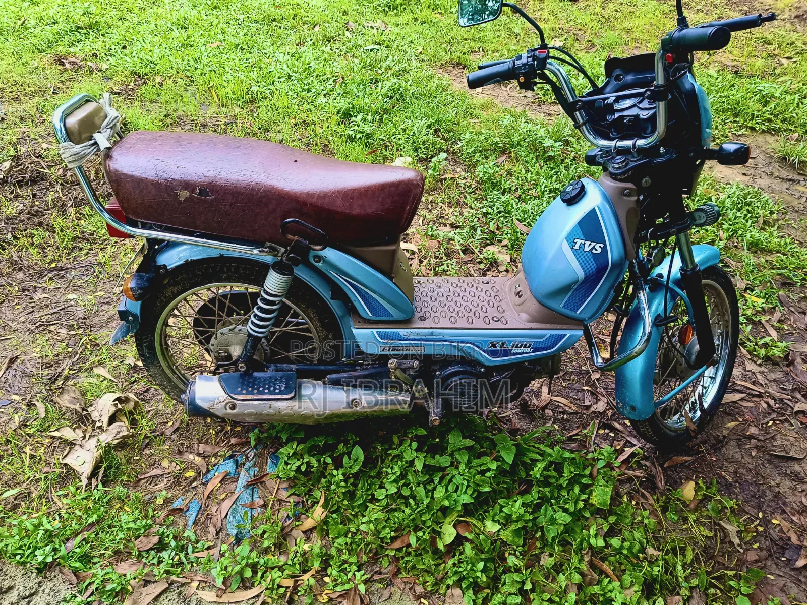 TVS XL 100 2023 Blue