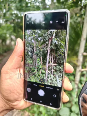 Tecno Camon 40 Pro 4G 256 GB Gray