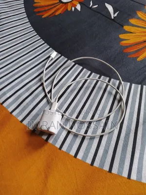 Original Anker 20w Charger