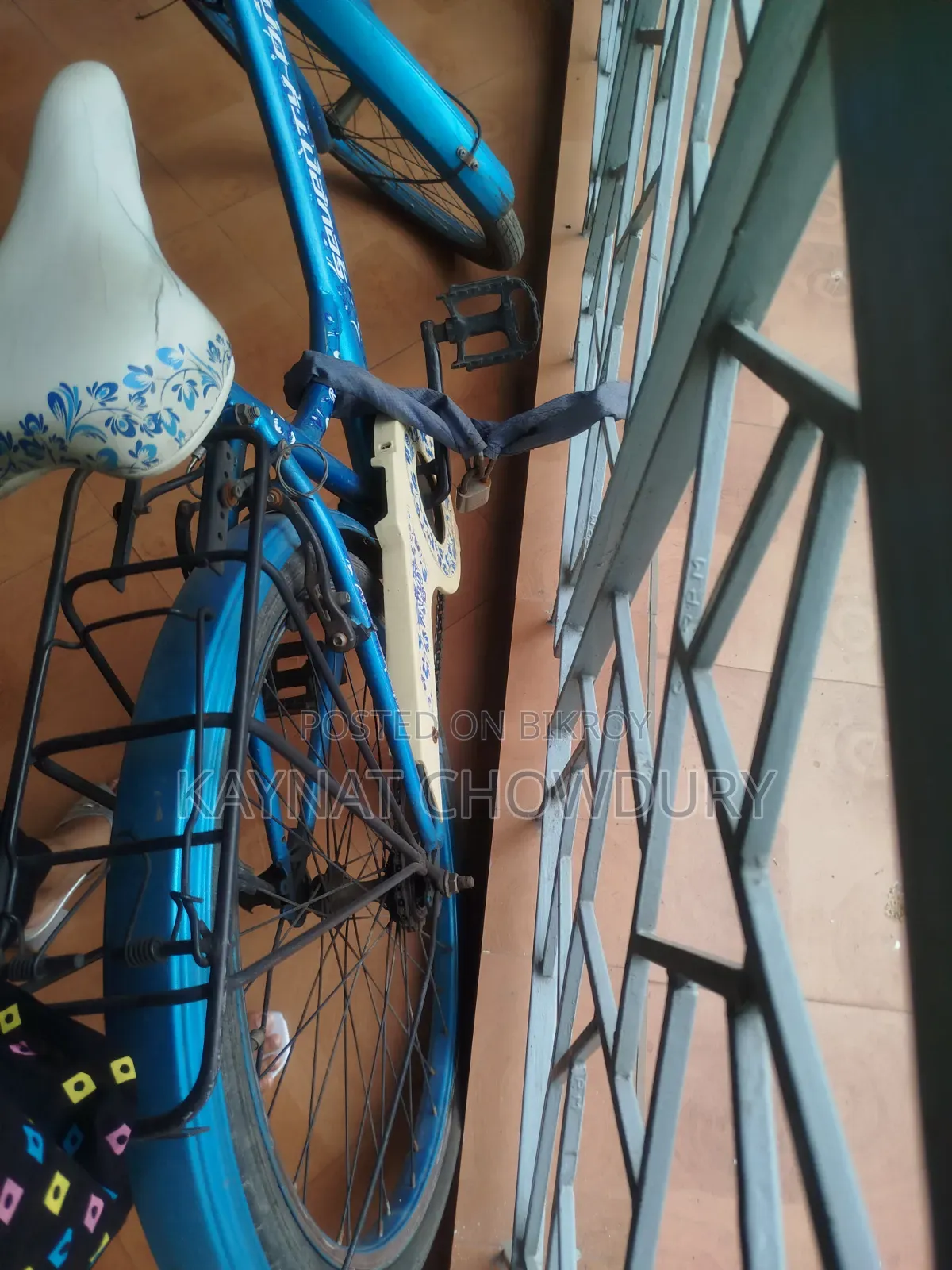 Female Cycle