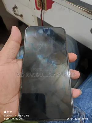 Apple iPhone 12 Pro Max 256 GB Blue