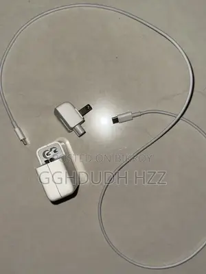 Apple 30w Original Charger