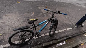 Good Condition Non-gear Bicycle