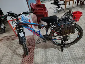Electric Cycle 2026 Gray