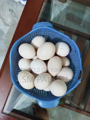 Deshi chicken eggs for sale