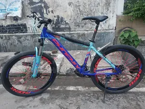Phoenix Cycle 26 Size
