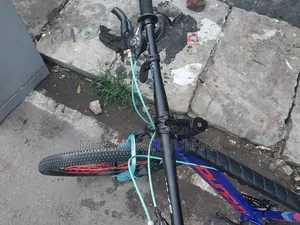 Phoenix Cycle 26 Size