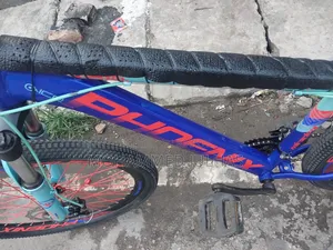 Phoenix Cycle 26 Size