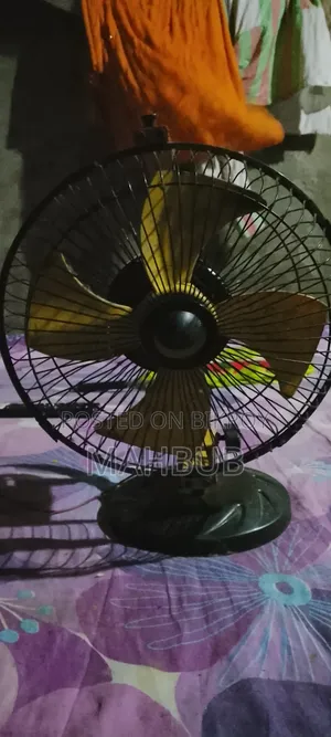 Fan for sale