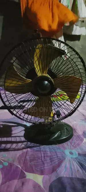 Fan for sale