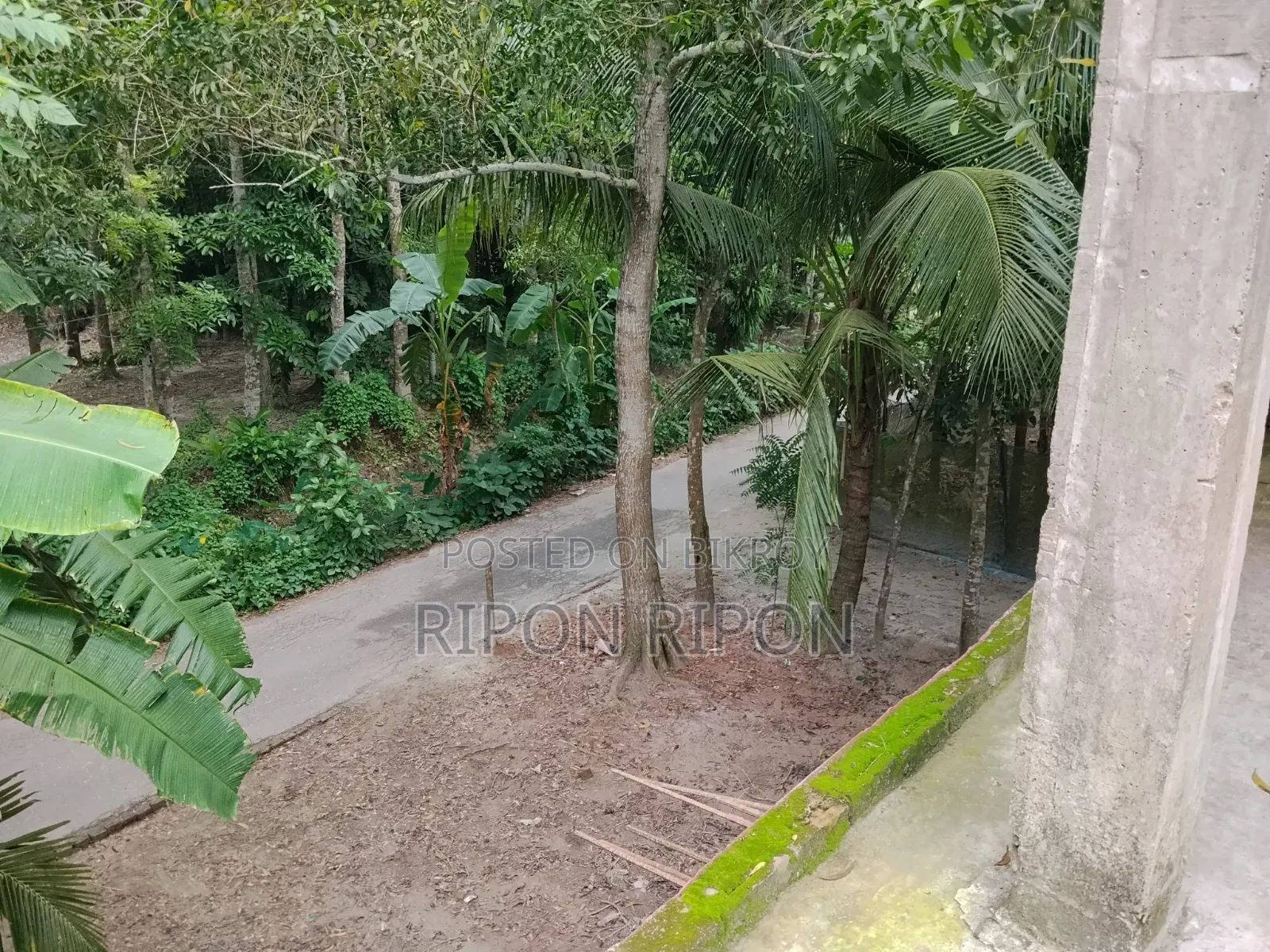 Furnished 4-bedroom House in Bosatbari, Babuganj for sale
