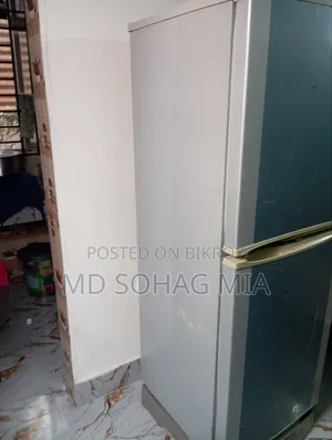 Fridge Singer Good Conditions Running No Problems