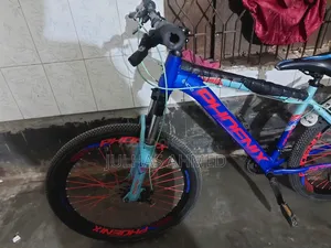 ফিনিক্স সাইকেল সাইজ ২৬