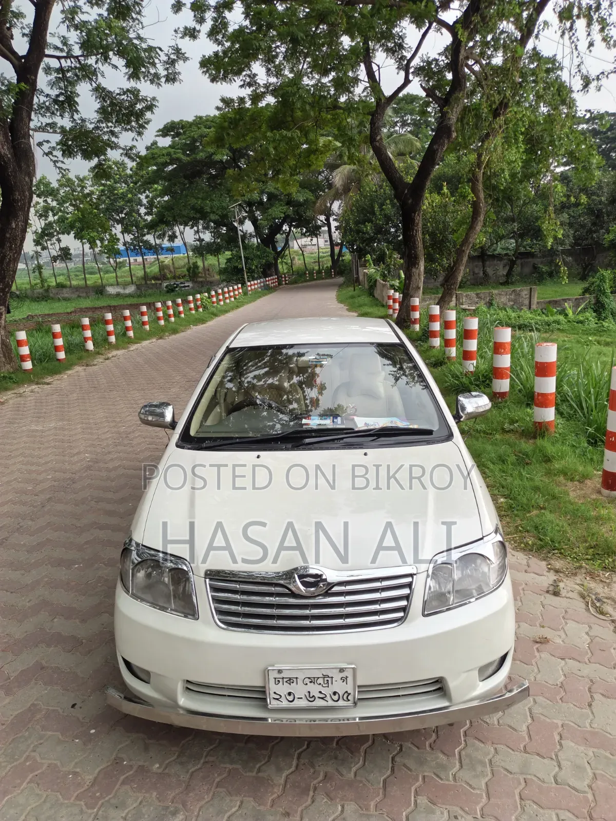 Toyota Corolla 2005 Pearl