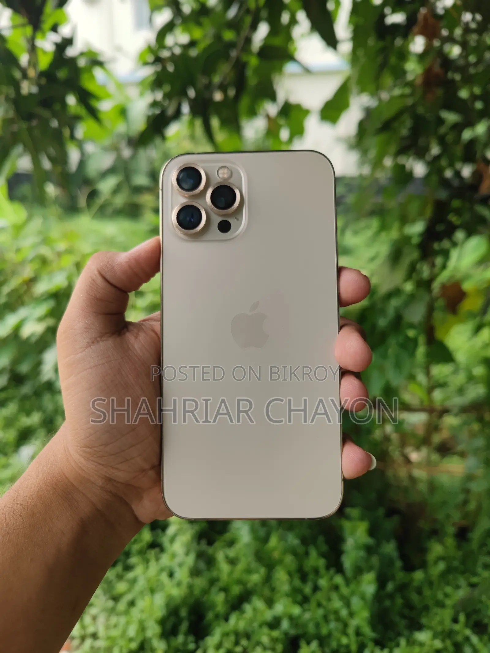 Apple iPhone 12 Pro Max 256 GB Gold