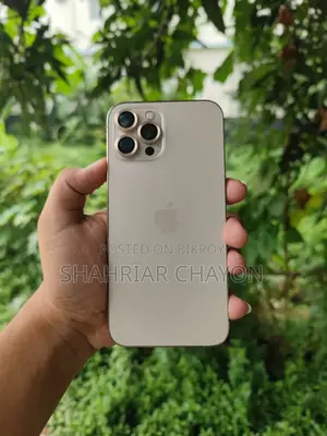 Apple iPhone 12 Pro Max 256 GB Gold