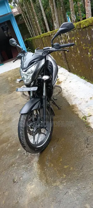 New Bajaj Pulsar NS125 2026 Gray