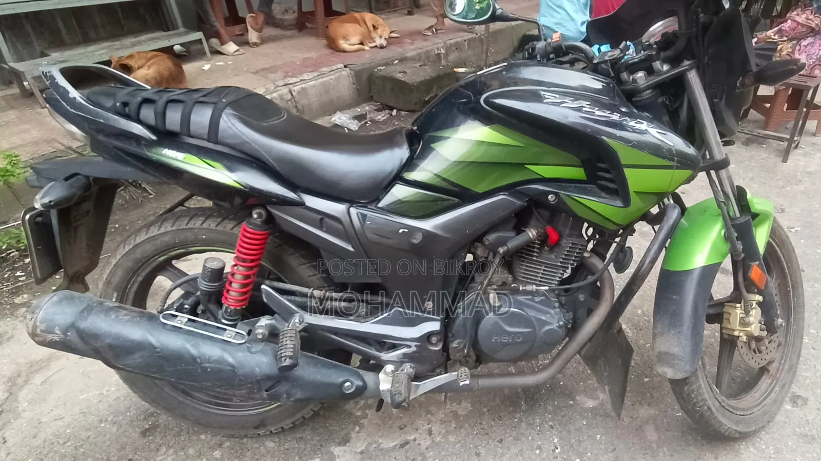 Hero Hunk 2019 Green