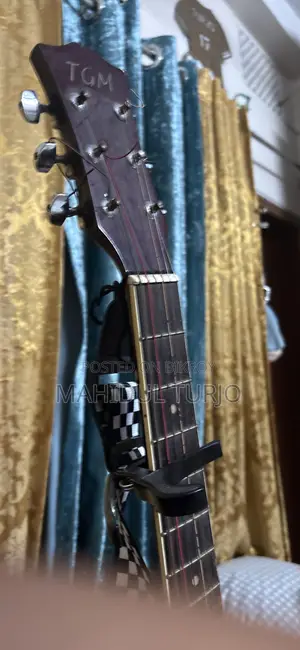 TGM Guitar