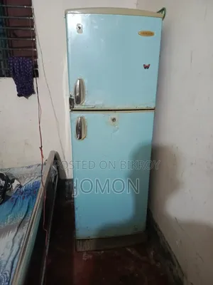 Singer Fridge