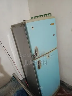 Singer Fridge