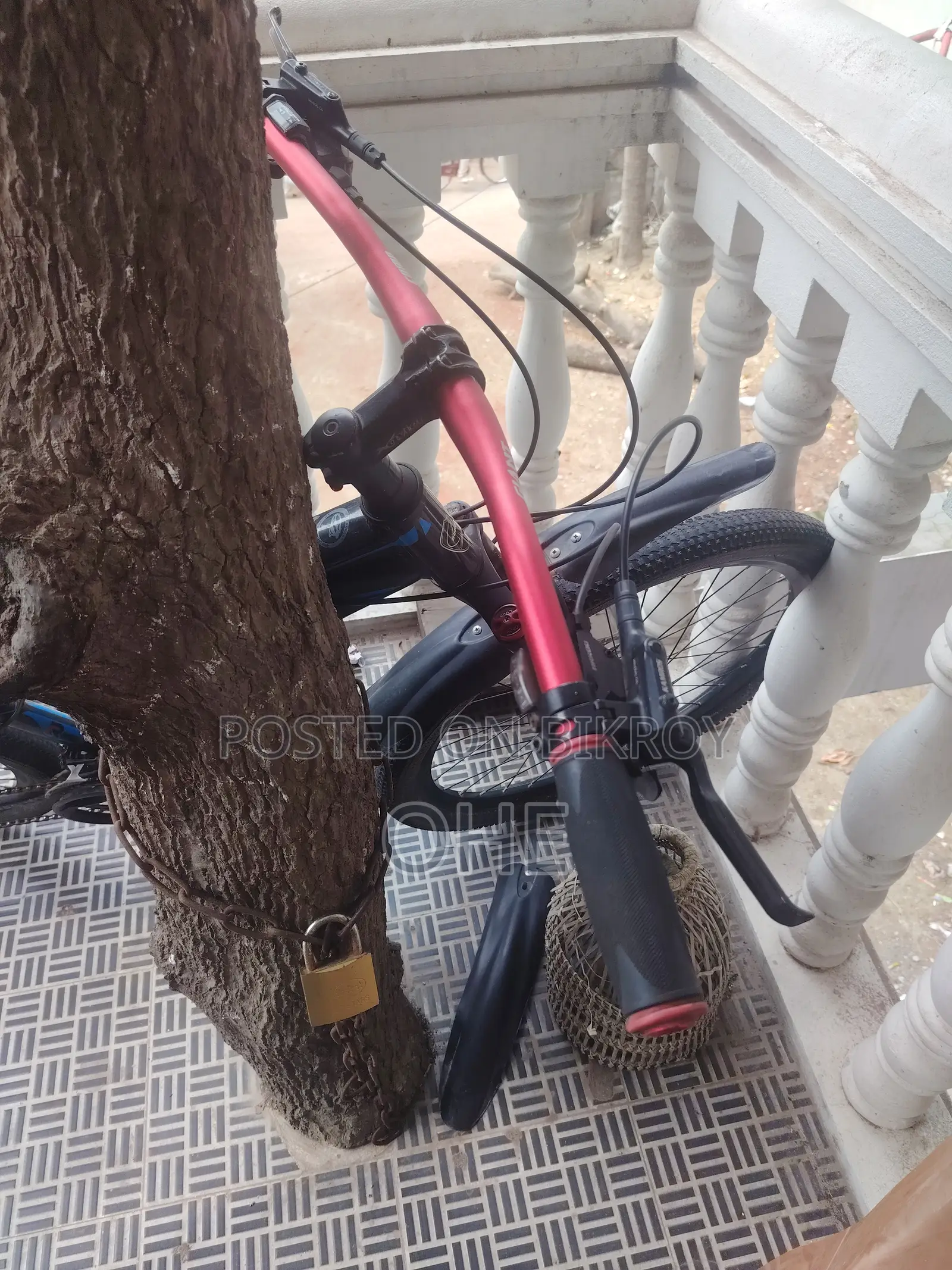 Used Bicycle