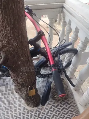 Used Bicycle