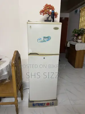 Butterfly Fridge