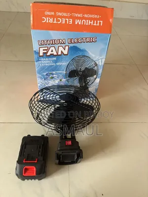 Electric Lithium Fan