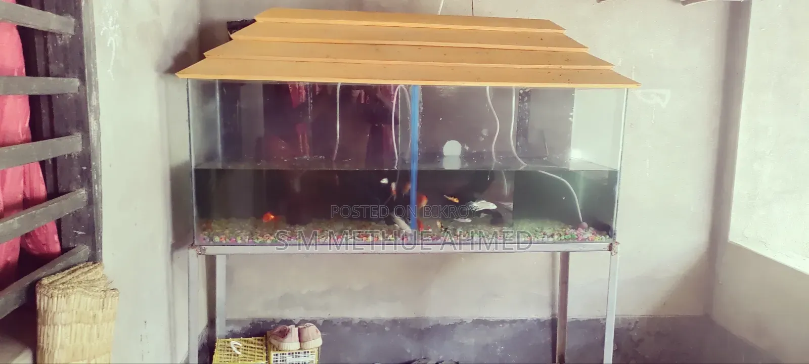 With Aquarium Set,