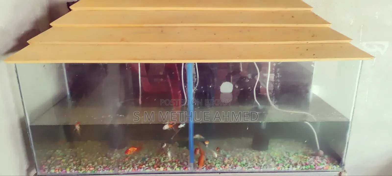 With Aquarium Set,