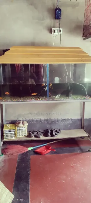 With Aquarium Set,