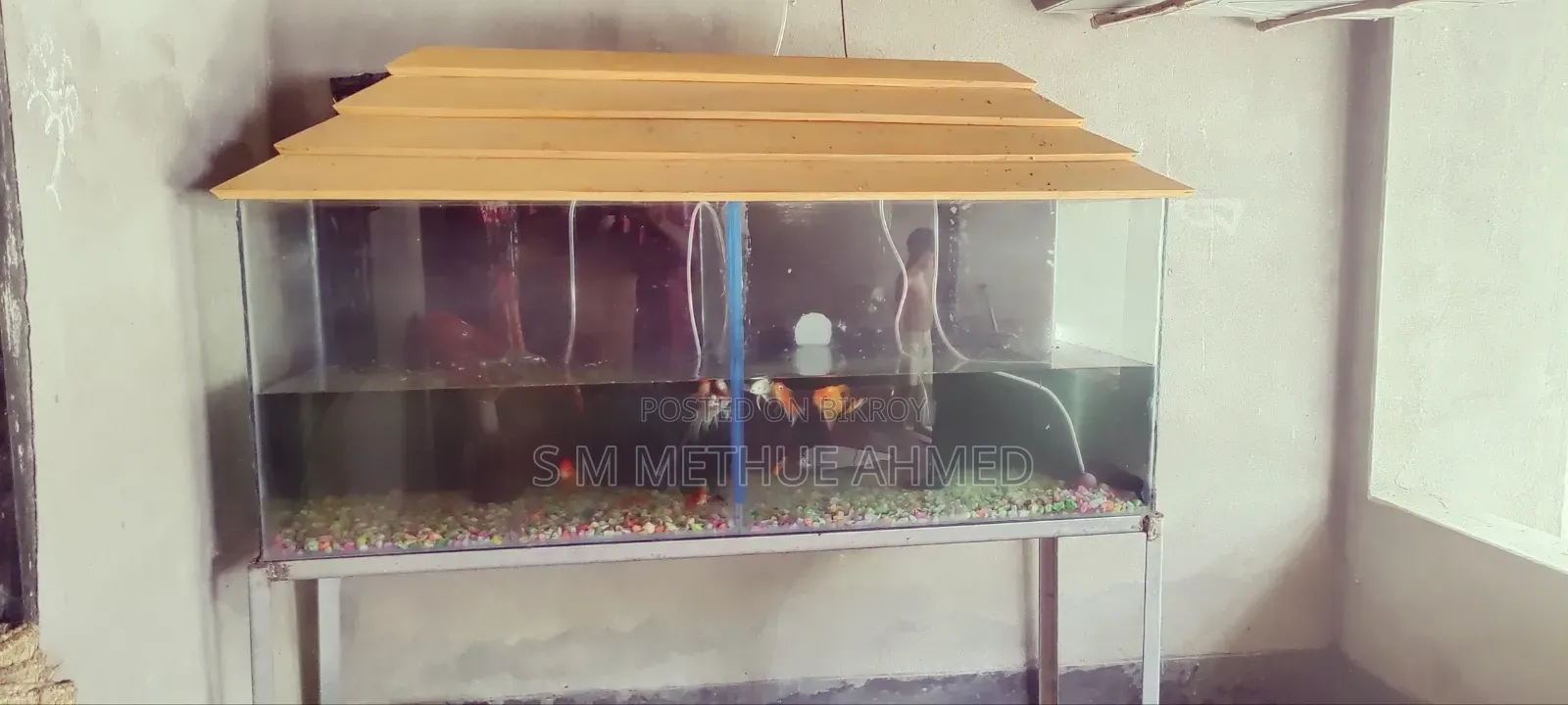 With Aquarium Set,
