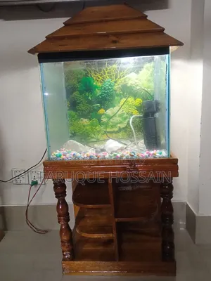 Aquarium Full Setup for Sale