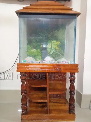 Aquarium Full Setup for Sale