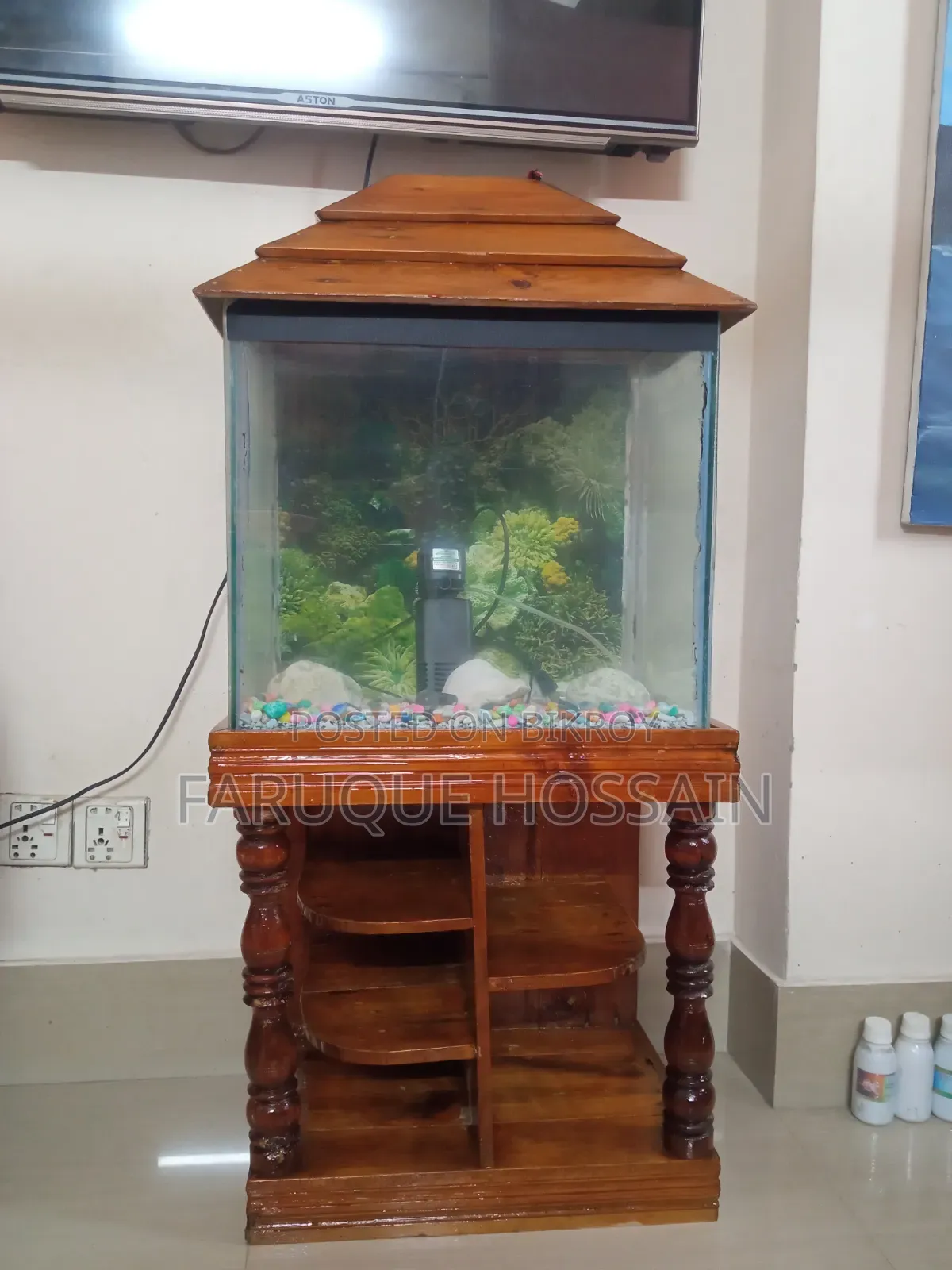 Aquarium Full Setup for Sale